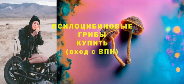 метадон Ладушкин