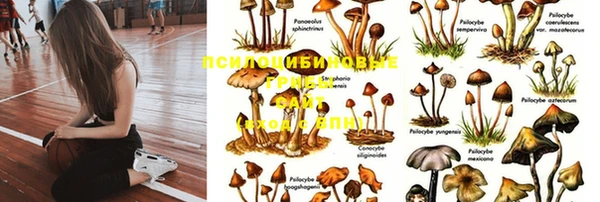 метадон Ладушкин