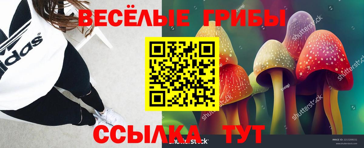 Ярославль  Галлюциногенные грибы мухоморы  Вход с VPN  Галлюциногенные грибы прущие грибы 