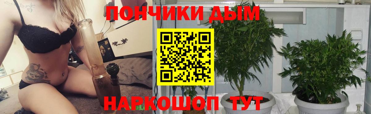 Бошки марихуана White Widow  Каннабис гибрид  Ярославль  Вход с VPN 
