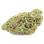 Шишки OG Kush  (Гидропоника, бошки) VHQ в Ярославле